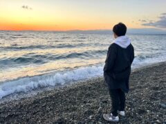 むかいのホーム
